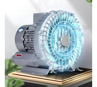 WANGYYDS Soplador Regenerativo Trifásico De 42-420 Cfm, 380 V, con Anillo Vórtice De Alta Presión, para Aireación De Aguas Residuales, Color Plateado 3800W/39Kpa/400CFM