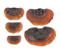 Wanjorlay Juego de 5 estantes de setas decoración de pared pequeño estante de pared esquina decoración de pared de resina para dormitorio decoración de hongos estantes flotantes