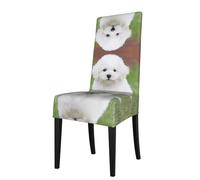 WANLON Bichon Frise - Fundas elásticas para sillas de comedor, decoración de banquetes de mesa de hotel, cómodas y resistentes a las arrugas