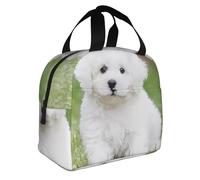 WANLON Bichon Frise - Lonchera para perro, perfecta para el trabajo, picnic, viajes, actividades al aire libre, bolsa de almuerzo grande pero elegante