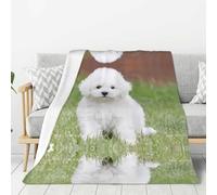 WANLON Bichon Frise - Manta de franela para perro, suave y acogedora, ideal para cama, sofá, campamento y viajes, manta ligera