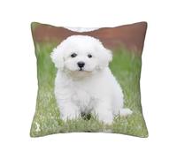 WANLON Fundas decorativas de almohada de 20 x 20 pulgadas, cojines suaves para sofá, cama, dormitorio, sala de estar, hogar, casa de campo, perro bichón frise