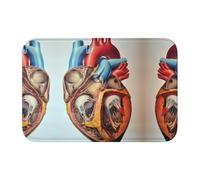 WANLON Human Anatomy Heart Chart Hem Mat 40x60 - Felpudo versátil para uso en exteriores e interiores, perfecto para cocina, dormitorio, sala de estar