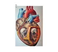 WANLON Toalla de golf Human Anatomy Heart Chart - Toalla de gimnasio suave y absorbente para golf, correr, yoga y más, secado rápido y conveniente