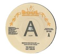 Wanted Dead Or Alive / Can You Feel It-7" 45
