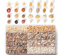 Wanwanzi 60 estrellas de mar y 1600 conchas marinas pequeñas, 5 tipos de conchas marinas naturales para decoración del hogar, decoración de velas, tanque de peces y relleno de jarrón de playa para