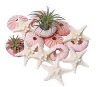 Wanwanzi Juego de 12 conchas de estrella de mar y erizo de mar, decoración natural de conchas marinas de 1.3 a 1.9 pulgadas para plantas de aire, bodas en la playa, decoraciones costeras del hogar,