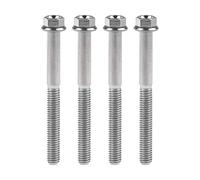 Wanyifa Titanio Ti Brida M6 10 15 20 25 30 35 40 45 50 55 60 65mm Tornillo de perno para motocicleta modificado paquete fo 4 (M6x60mm, titanio normal)