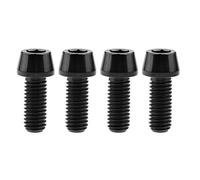 Wanyifa Titanium Ti M8 x15 20 25 30 35 40 45 50 60 m 1,25 mm de paso hexagonal cabeza hexagonal tornillos tornillos (cabeza cónica M8 x 20 mm, negro)