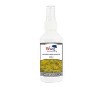 War World Scenics Spray Adhesivo para Capas de Hierba Estática 250ml - Modelismo & Wargames