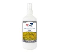 War World Scenics Spray Adhesivo para Capas de Hierba Estática 500ml - Modelismo & Wargames