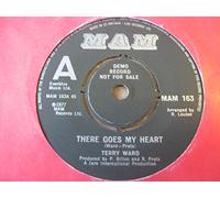 Ward, Terry There Goes My Heart 7" Mam MAM163 EX 1977 demo