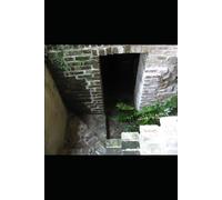 Warfare in the Walls: Book One of the Mantle Series