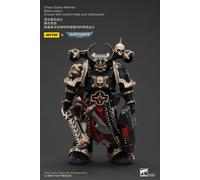 Warhammer 40k Actionfigur Chaos Space Marines Black Legion Chosen with Combi-melta and chainsword 20 cm