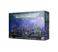 Warhammer+40k+-+Grey+Caballeros+Paladins+%2F+Terminators+Squad