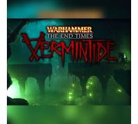 Warhammer: End Times - Vermintide - The Outsider (DLC) (PC) Steam Key - GLOBAL