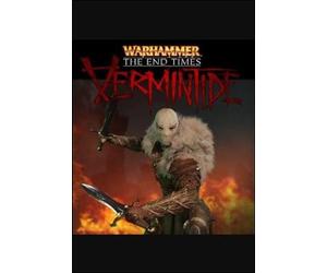 Warhammer: End Times - Vermintide - The Outsider (DLC) (PC) Steam Key GLOBAL