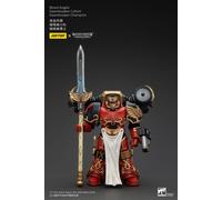 Warhammer the horus heresy figura 1/18 blood angels raldoron first cap