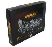 Warmachine: Conjunto De Expansión Del Núcleo De La Legión De Tormenta Cygnar