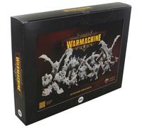 Warmachine: Expansión Auxiliar De Los Saqueadores Del Mar Orgoth
