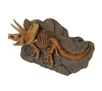 Warmhm Modelo de Fósil de Dinosaurio Simulado en Resina Marrón | Decoración Mural, Pieza Artística Natural y Vívida, para Interior y Paredes Habitación