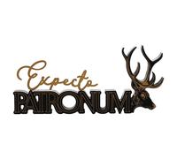 Warner bros harry potter alumni spell sign patronum