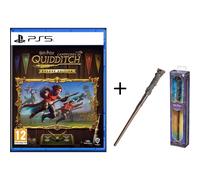 Warner Pack Harry Potter: Campeones de Quidditch Deluxe Edition + Varita de Harry Potter The Noble Collection