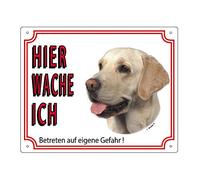 Warntafel Labrador hell gelb 12 x 3,5 cm