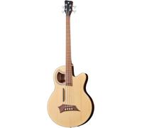 Warwick Alien Deluxe Hybrid 4 NTS