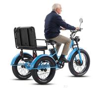 Wasd3Pods Triciclo Eléctrico De 20 X 4 Pulgadas con Ruedas Anchas Y Cesta para Adultos,7 Velocidades,Cuadro De Acero Al Carbono,3 Ruedas,para Crucero Blue-withseat