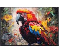 wash+dry Alfombra, Design Parry McParrot 50x75cm, Adecuada para Interiores y Exteriores, Lavable, Multicolor