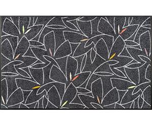 Wash+Dry Alfombra Linostre 75x120cm, Adecuada para Interiores y Exteriores, Lavable