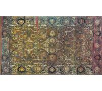 Wash+Dry Alfombra Mirage 70x120cm, Adecuada para Interiores y Exteriores, Lavable