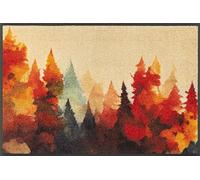 Wash+Dry Felpudo Golden Season 50 x 75 cm, Interior y Exterior, Lavable, Multicolor