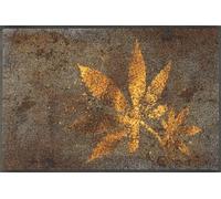 Wash+Dry Felpudo Herb Blend 50 x 75 cm, Interior y Exterior, Lavable, Multicolor