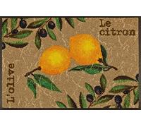 Wash&Dry Le Citron Felpudo, Poliamida, Multicolor, 50x75cm