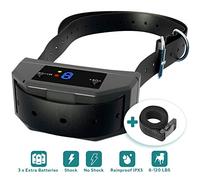 Washington Dinah - What a Diff'rence Sacd