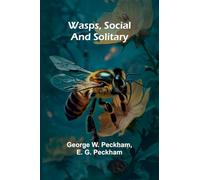 Wasps, Social And Solitary
