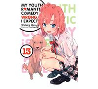 Watari, Wataru - My Youth Romantic Comedy Is Wrong, As I Expected, Vol. 13 (light novel): Volume 13 (YOUTH ROMANTIC COMEDY WRONG EXPECTED NOVEL SC)