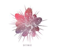 Watch Out Stampede - Svtvnic