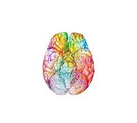 Watcholor Brain estampado, Cartel Medical de Arte Neurología, Psicólogo Decoración Clínica(2,40X50CM No Frame)
