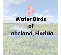 Water Birds of Lakeland, Florida