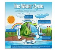 Water Cycle Chart Earth Science Poster Canvas Wall Art for Learning Center or Boys Girls Room Decor(Framed,08x12inch(20x30cm))