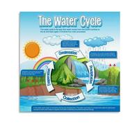 Water Cycle Diagram Science Poster Canvas Wall Art for Kids Room Montessori School Weather Study Learning Aid(Unframed,16X24inch(40X60cm))