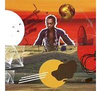 Water Get No Enemy [Vinilo]