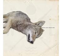 Water Liars - Moon over Madison