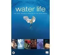 Water Life (import)