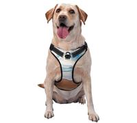 Water Rush to Tropical Beach - Arnés reflectante para perro de liberación rápida con 2 hebillas de liberación rápida, 4 tamaños L, ideal para paseos al aire libre y caminatas