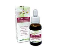 Water violet o Violeta de agua (Hottonia palustris) Flores emocionales o Flores de Bach Naturalma - Gotas 30 ml - Extracto líquido sin alcohol - Esencias florales - Vegano