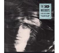 Waterboys - A Girl Called Johnnny